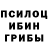 Галлюциногенные грибы GOLDEN TEACHER germandude hanz