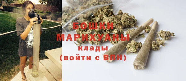 стафф Няндома