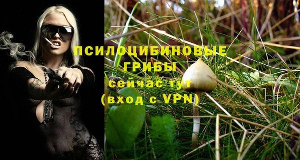 стафф Няндома