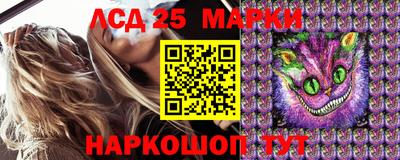 гидропоника Волгодонск