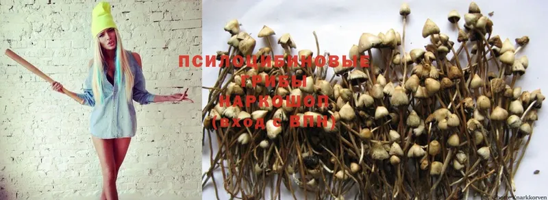 Галлюциногенные грибы Psilocybe  Луга 