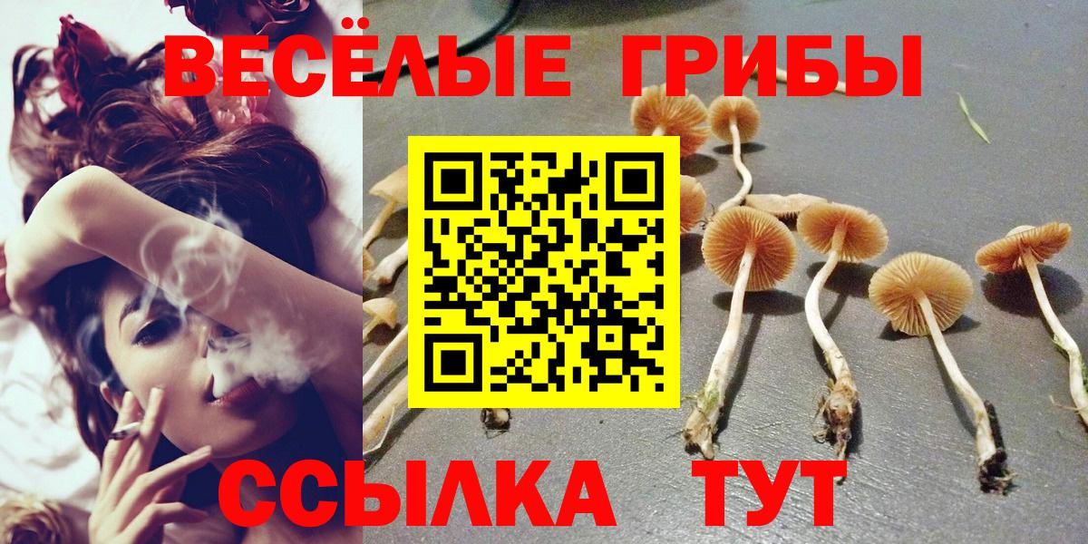 продажа наркотиков  Псилоцибиновые грибы ЛСД  Луга  Галлюциногенные грибы прущие грибы 