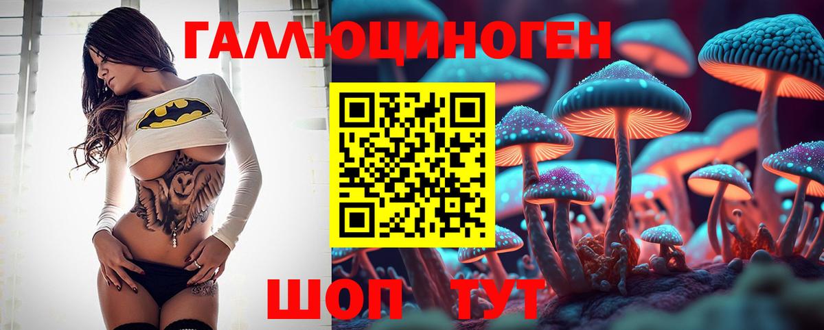 Псилоцибиновые грибы мицелий Луга
